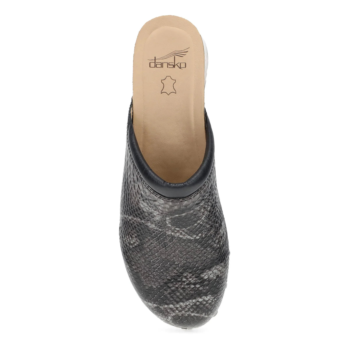 Andie Grey Snake